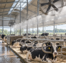 Subsidie voor een dierwaardig omgevingsklimaat in de veehouderij
