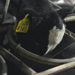 Integraal Duurzame Stallen gaat dit jaar nog weer open!