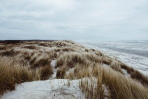 Waddenfonds