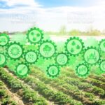 Samenwerking voor innovaties biodiversiteit Veenkoloniën 2020