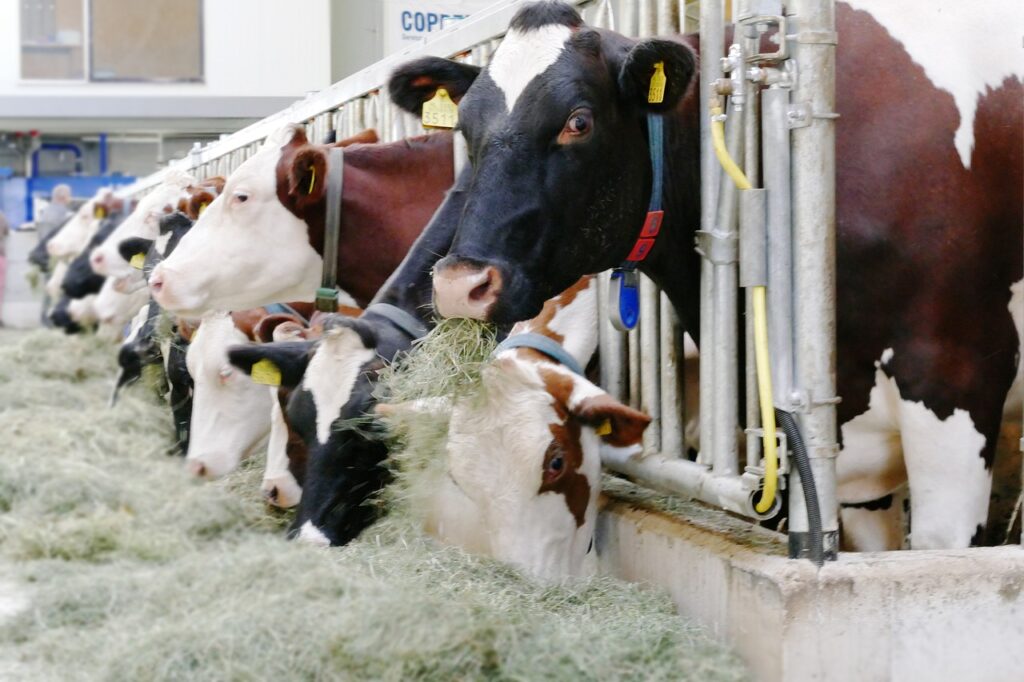 Maatwerkregeling Agroprogramma