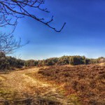 LEADER Zuidwest-Drenthe