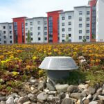 Groene daken en gevels Flevoland