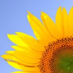 Aanpassingen LEADER Overijssel