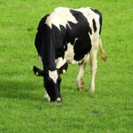 Nieuwe openstelling investeringsmodule piekbelasters