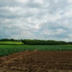 Subsidie Circulaire ketenprojecten