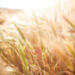 Regeling Fysieke Investeringen voor de provincie Drenthe geopend