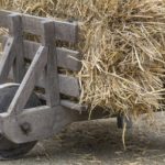 Stad- en plattelandsontwikkeling Stad- en plattelandsontwikkeling