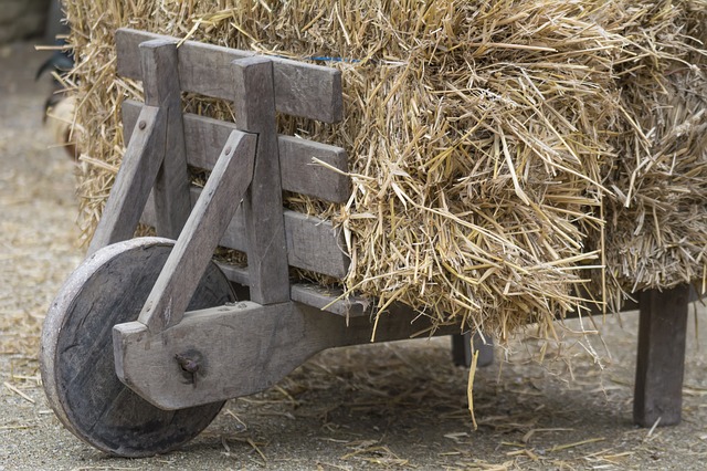 Subsidie voor de vestiging van jonge landbouwers 2025